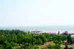 hts005.jpg (109697 ֽ)